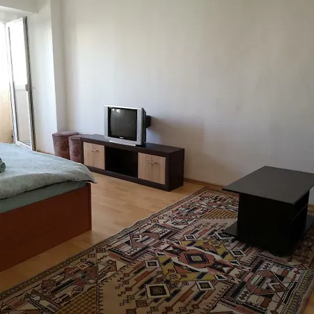 Central Modest Studio Apartment *